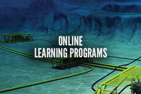 Online Learning Programs