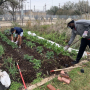 UH NSBE members volunteering at a previous community event at the Blodgett Urban Gardens.