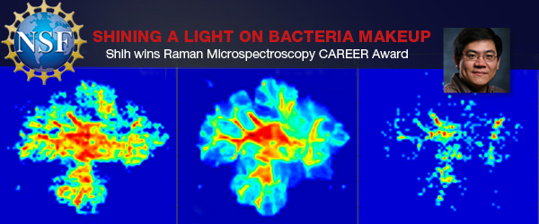 Shih wins Raman Microspectroscopy CAREER Award