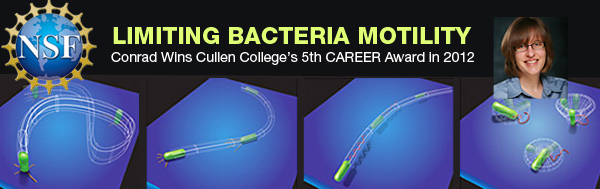 Limiting Bacteria Mobility: Conrad Wins 2012 CAREER Award