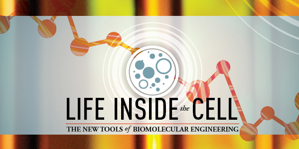 Life Inside the Cell - The New Tools of Biomolecular Enginee