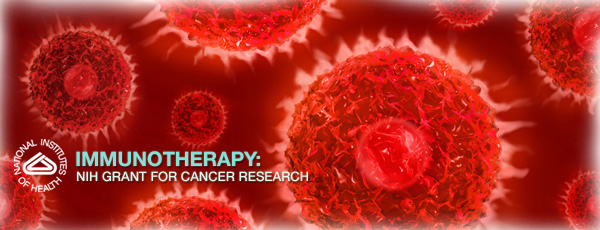 Immunotherapy: NIH Grant for Cancer Research