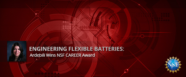 Engineering Flexible Batteries: Ardebili Wins NSF CAREER Awa