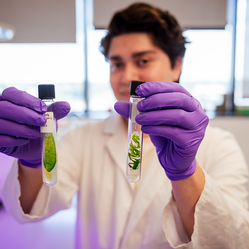 Biotechnology (Engineering Technology)