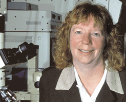 Engineering Professor Named to the Texas Council on Environmental Technology