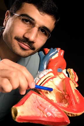 UH Biomedical Engineering Junior Wins Fellowship for Model of Human Vascular System