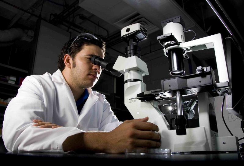 New Curriculum, New Faculty for Biomedical Engineering