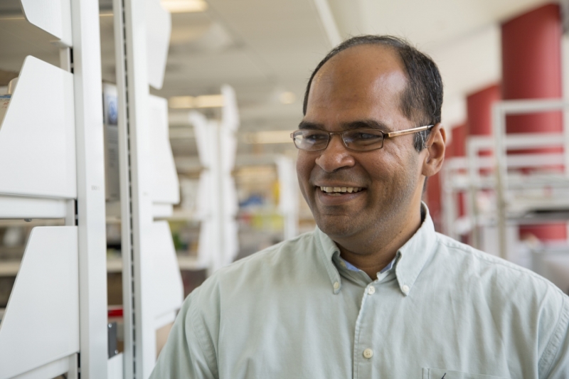 Biomedical Engineering Professor Publishes First Comprehensive Textbook on Tissue Engineering