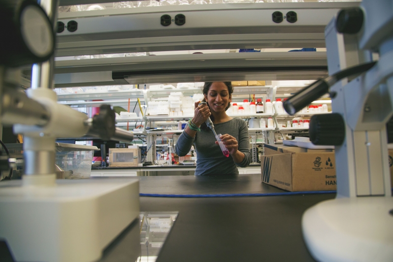 Biomedical Engineering Undergraduate Program Receives ABET Accreditation