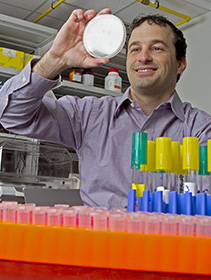 Novel Genetic Tool Advances Synthetic Biology, Metabolic Engineering