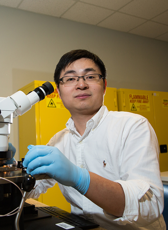 UH Professor Receives ACS PRF Doctoral New Investigator Award