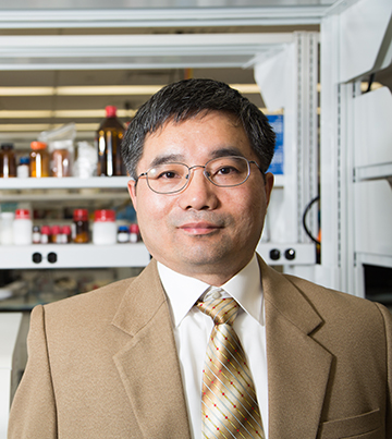 Engineering Research Shows Potential for Helping Lupus Patients