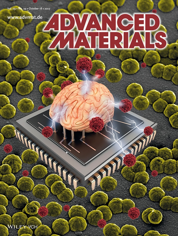 A Better Way to Make Organic Bioelectronics and Neural Interfaces: Journal Features UH Engineer’s Research on Cover and in Video