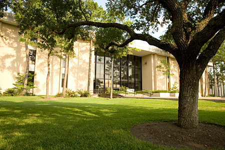 Brilliance Descending on UH as New Engineering Faculty Join the Cullen College