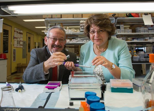 Eyes on the Prize: Two Biomedical Engineers Awarded $1.1M to Study Unique Gene Specific to the Eye