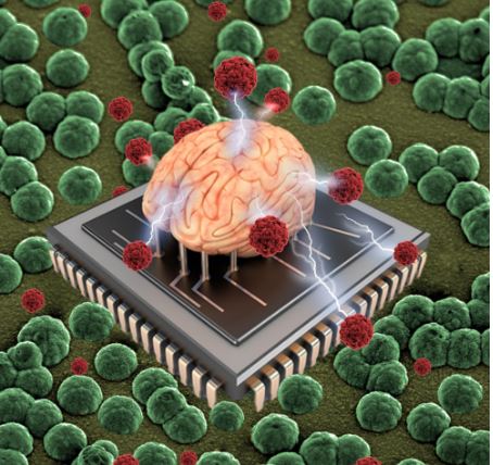 Researchers Report Better Way to Create Organic Bioelectronics