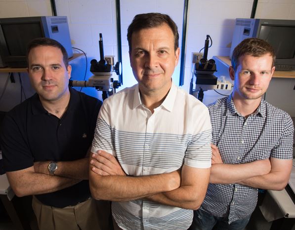 NSF Asks UH Engineer to Grow Better Crystals