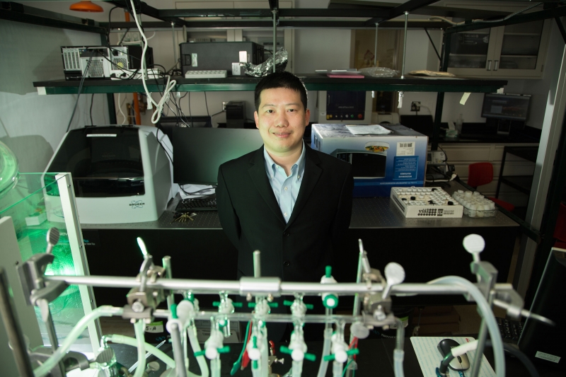 Inexpensive Organic Material Gives Safe Batteries a Longer Life