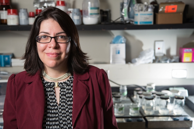 Haleh Ardebili Takes Innovation and Entrepreneurship Initiative to New Heights