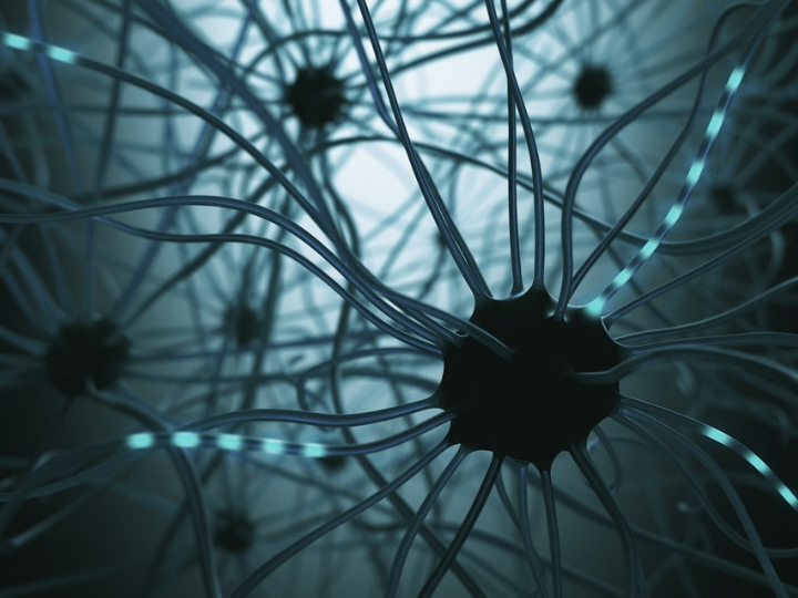 Research Moves Closer to Brain-Machine Interface Autonomy