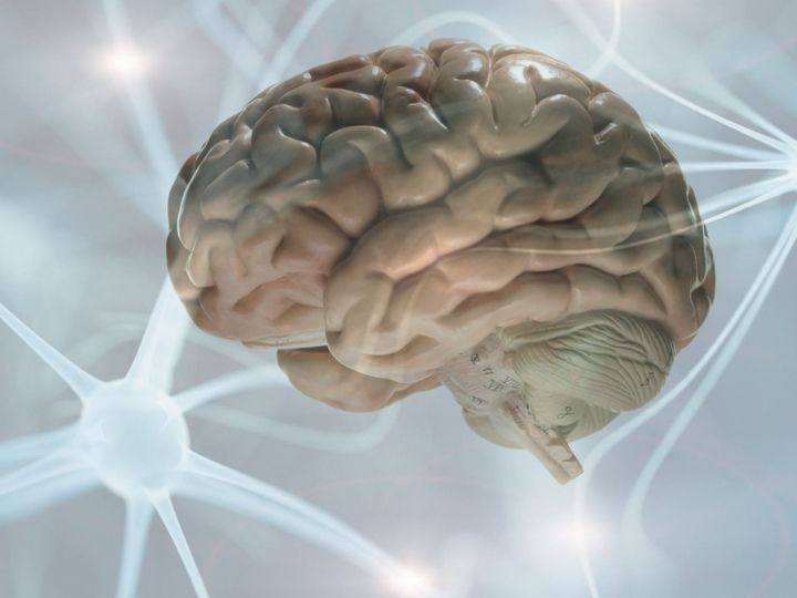Testing New Treatment for Epilepsy Patients