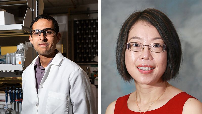 Showing Promise: UH Researchers Explore Care Options for COVID-19