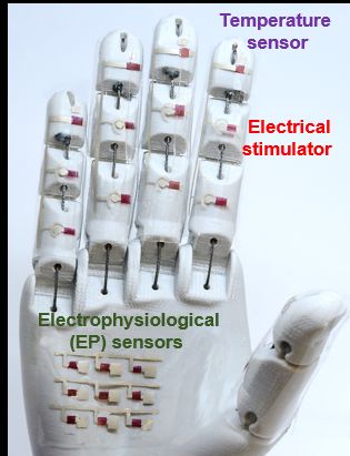Medical Robotic Hand? Rubbery Semiconductor Makes It Possible 