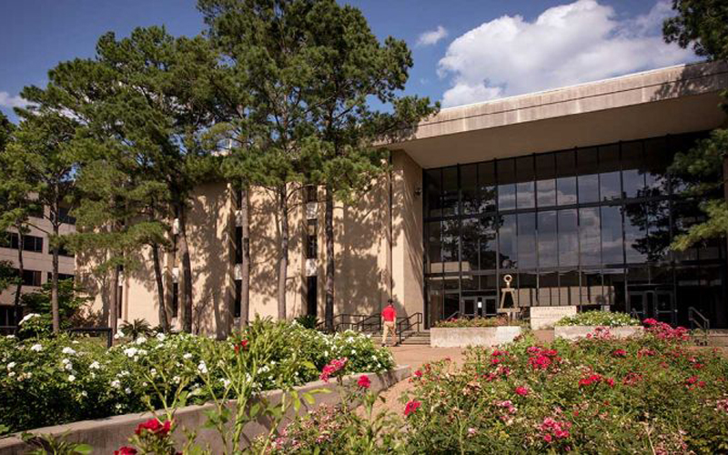 A group of 21 students from the Cullen College of Engineering have been selected for the University of Houston's Summer Undergraduate Research Fellowships.