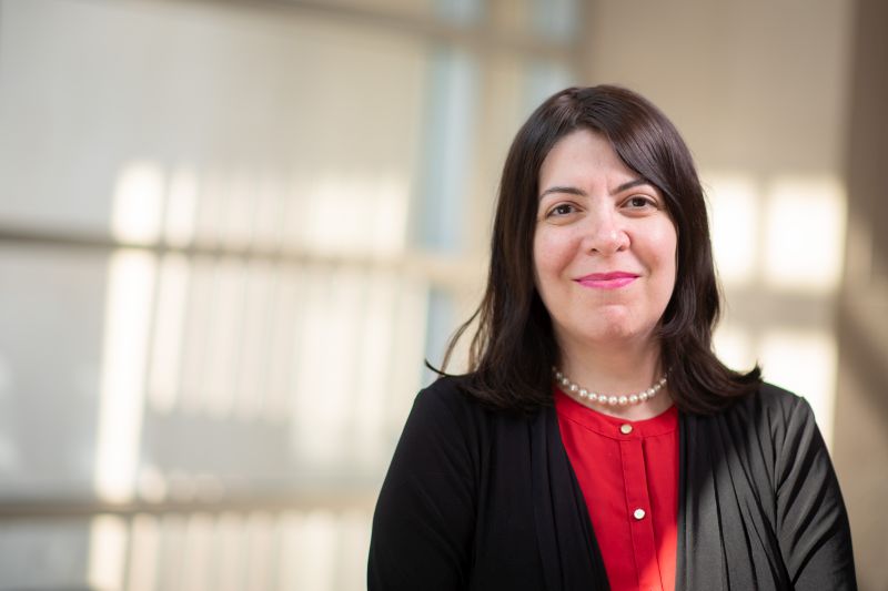 Haleh Ardebili, Ph.D., a professor of Mechanical Engineering was one of three professors recognized with the Undergraduate Research Mentor Award.