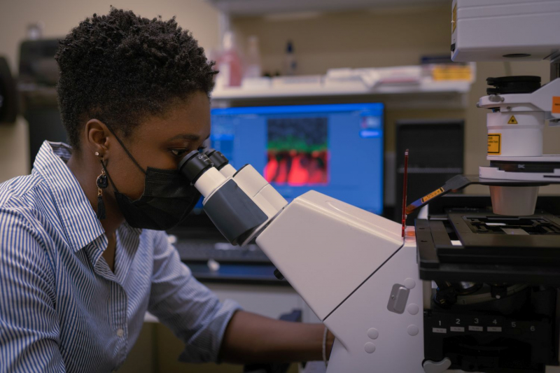 Ikelle, conducting research in a BME lab. 