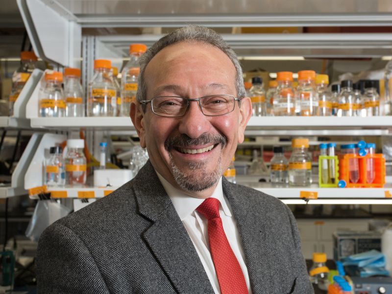 Al-Ubaidi, Ardebili honored by Faculty Excellence Awards