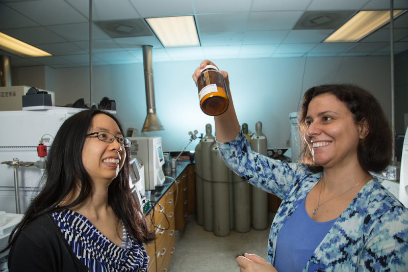 At right, Professor of Civil Engineering Debora Rodrigues is the principal investigator of a study that aims to revealing unknown properties of fungi. Stacey Louie, assistant professor of civil and environmental engineering, is one of four co-principal investigators in the project. 