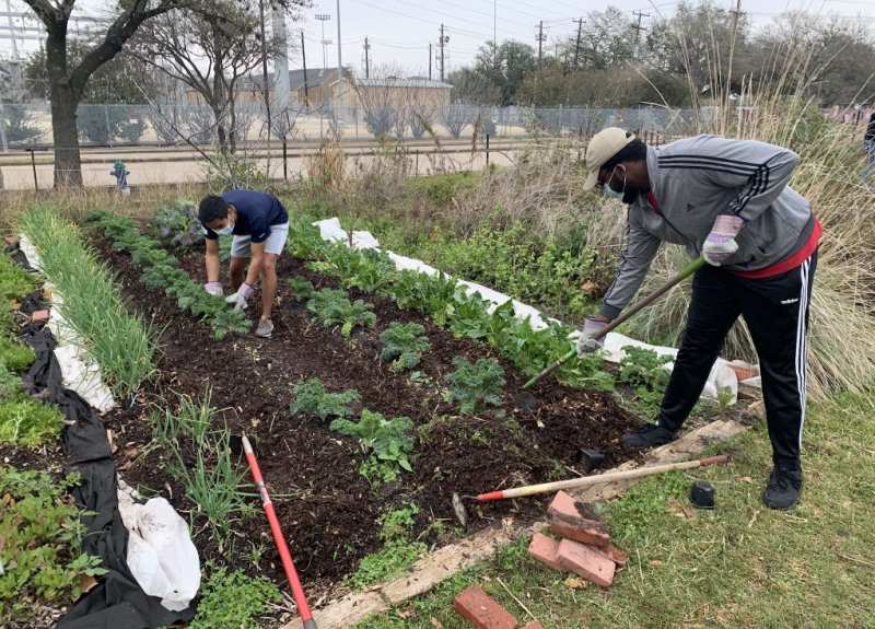 UH NSBE members volunteering at a previous community event at the Blodgett Urban Gardens.