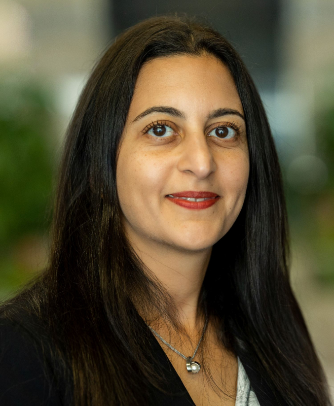 ChBE grad Setoodeh, president of CH-IV, newest board member