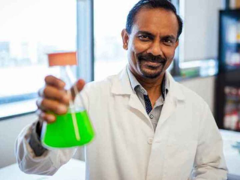   Venkatesh Balan holds a flask of cyanobacteria. Its bright green color is a sign of its ability to convert sunlight into energy. But more intriguing for Balan and his team of researchers is cyanobacteria’s untapped power to capture carbon dioxide from the atmosphere.