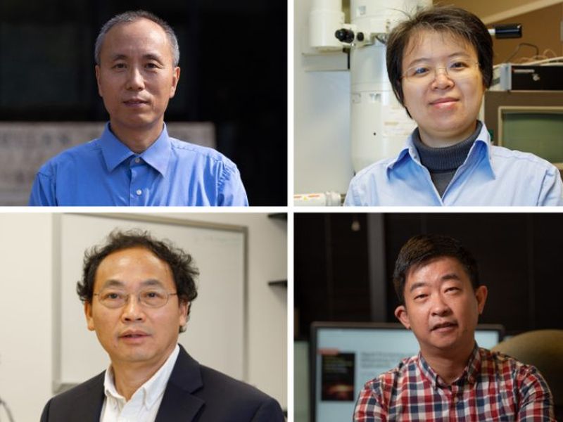 Clockwise from top left - Jiming Bao, Shuo Chen, Zhu Han and Zhifeng Ren.