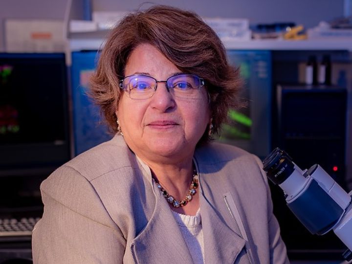 Muna Naash, John S. Dunn Endowed Professor of biomedical engineering, is expanding a method of gene therapy with the hopes it will restore vision loss in Usher Syndrome Type 2A.