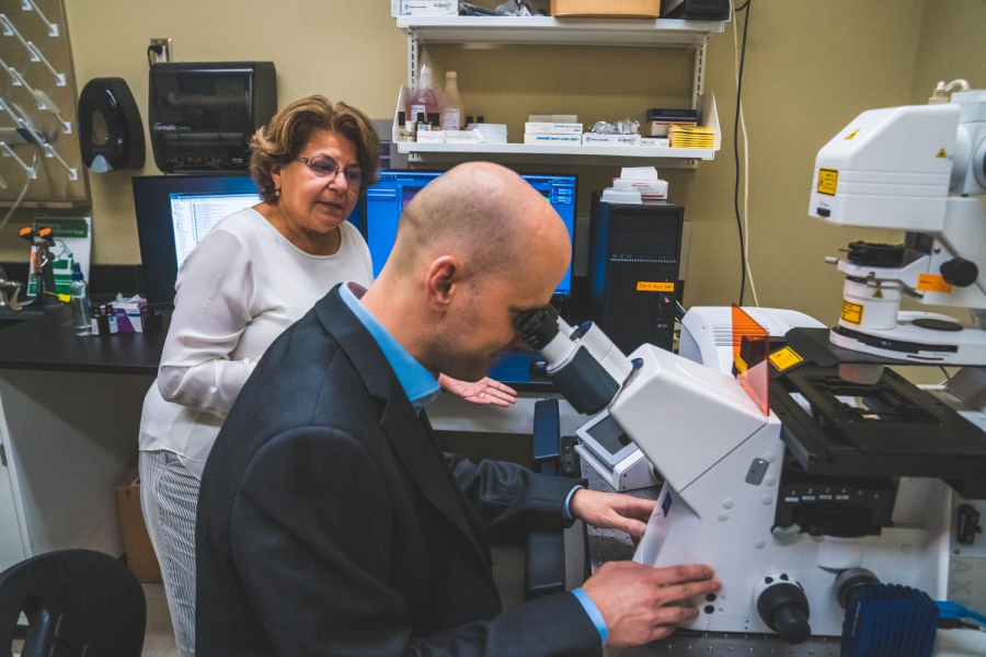 Muna Naash, John S. Dunn Endowed Professor of Biomedical Engineering [background], watches as  Lars Tebbe, assistant professor of research, examines a sample.