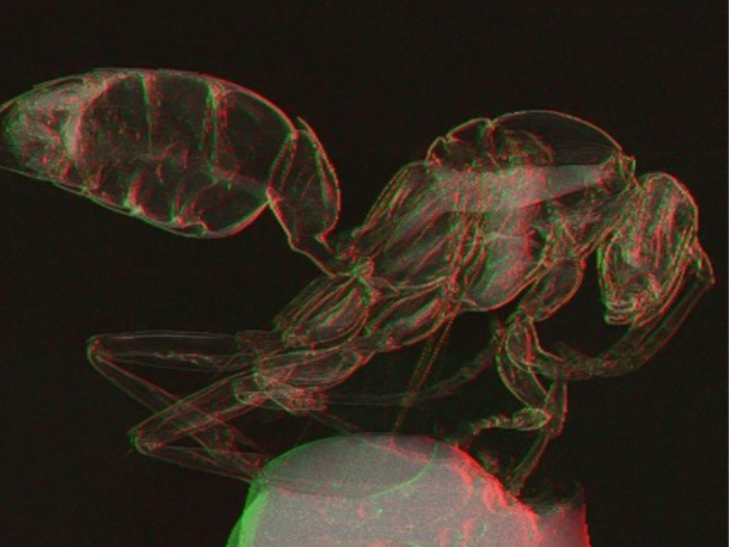UH Researchers Unveil Groundbreaking Technique in X-Ray Imaging