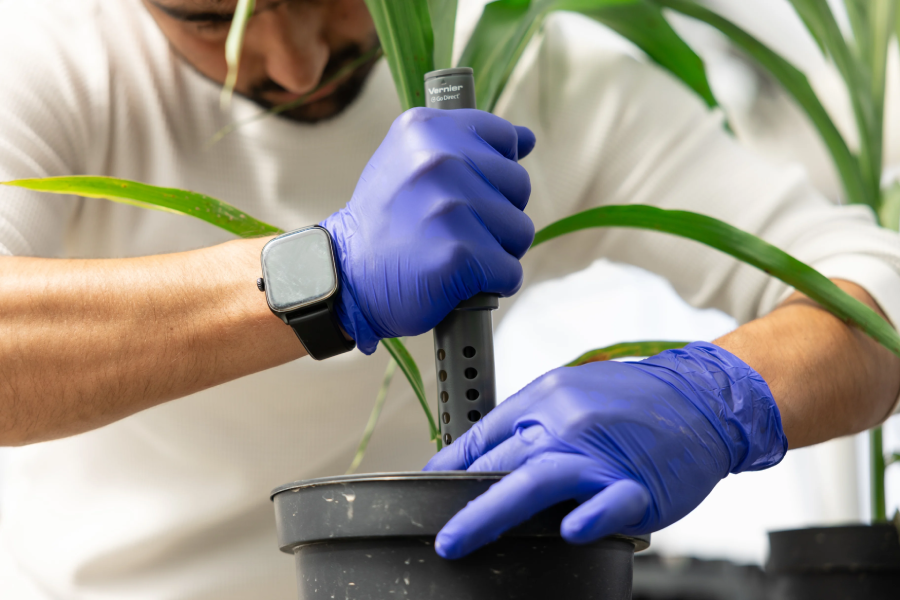Nasir Khan uses a soil probe to measure CO2 in a sorghum plant. 