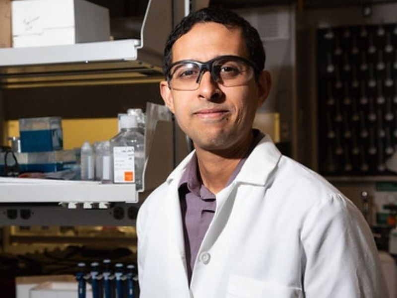 Optimal Cancer-Killing T Cells Discovered by Cullen researchers