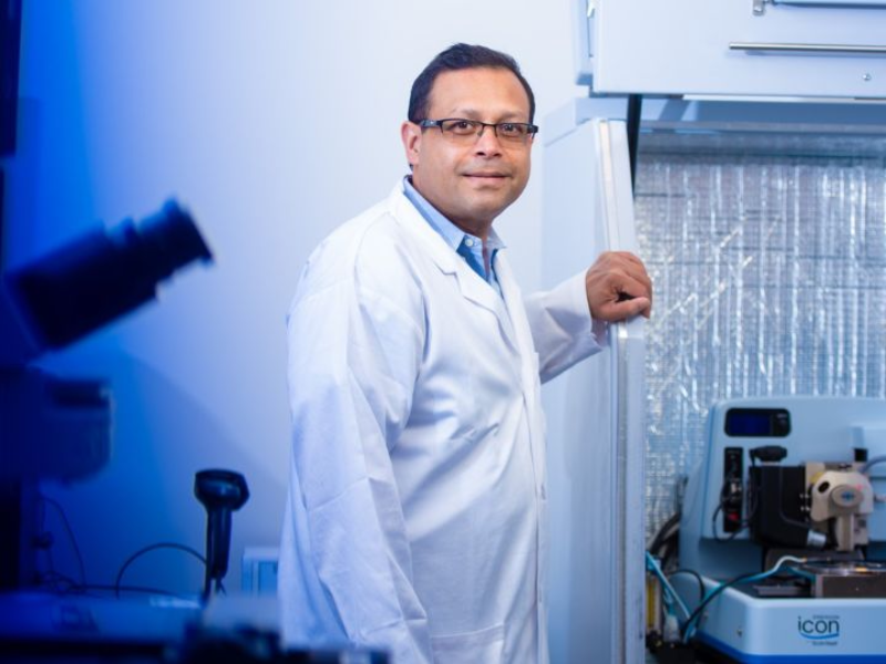 Life From a Drop of Rain: New Research Suggests Rainwater Helped Form the First Protocell Walls