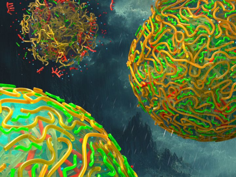 Graphic enlargement of rainwater that could have helped create a meshy wall around protocells 3.8 billion years ago, a critical step in the transition from tiny beads of RNA to every bacterium, plant, animal, and human that ever lived. (UChicago Pritzker School of Molecular Engineering / Peter Allen, Second Bay Studios) 