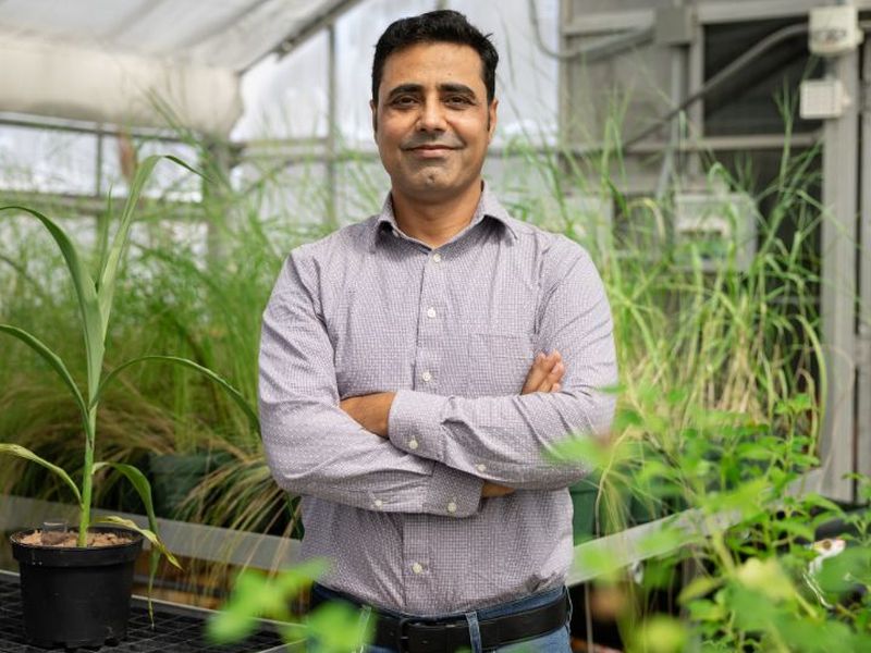 Biotechnology’s Khan Studies on Hemp May Lead to More Sustainable Farming Methods