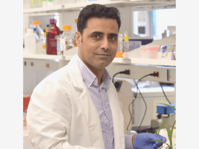 A photo of Abdul Latif Khan, wearing a white lab coat and standing in front of a lab bench with shelves. He wears purple nitrile gloves to handle a green plant near the bottom right of the image.