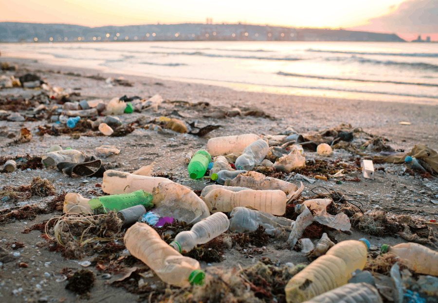 A photo of plastic garbage intermingled with seaweed on a beach.