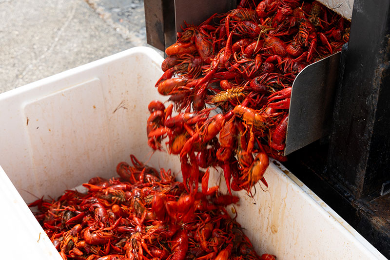 crawfish boil