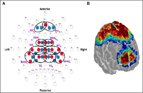 Figure 4. Cortical fNIRS layout and sensitivity map. A: Geometrical layout of sources (red) and detectors (blue) with respect to the international 10-10 EEG system. Bold black ovals denote the regions of interest (ROIs), which are subsequently labeled nearby in purple boldface. B: Correspondent sensitivity map overlaid onto the Colin27 brain model. Sensitivity computed and displayed with AtlasViewer.