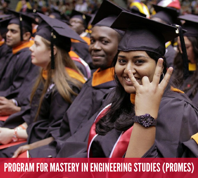 college undergraduate success program