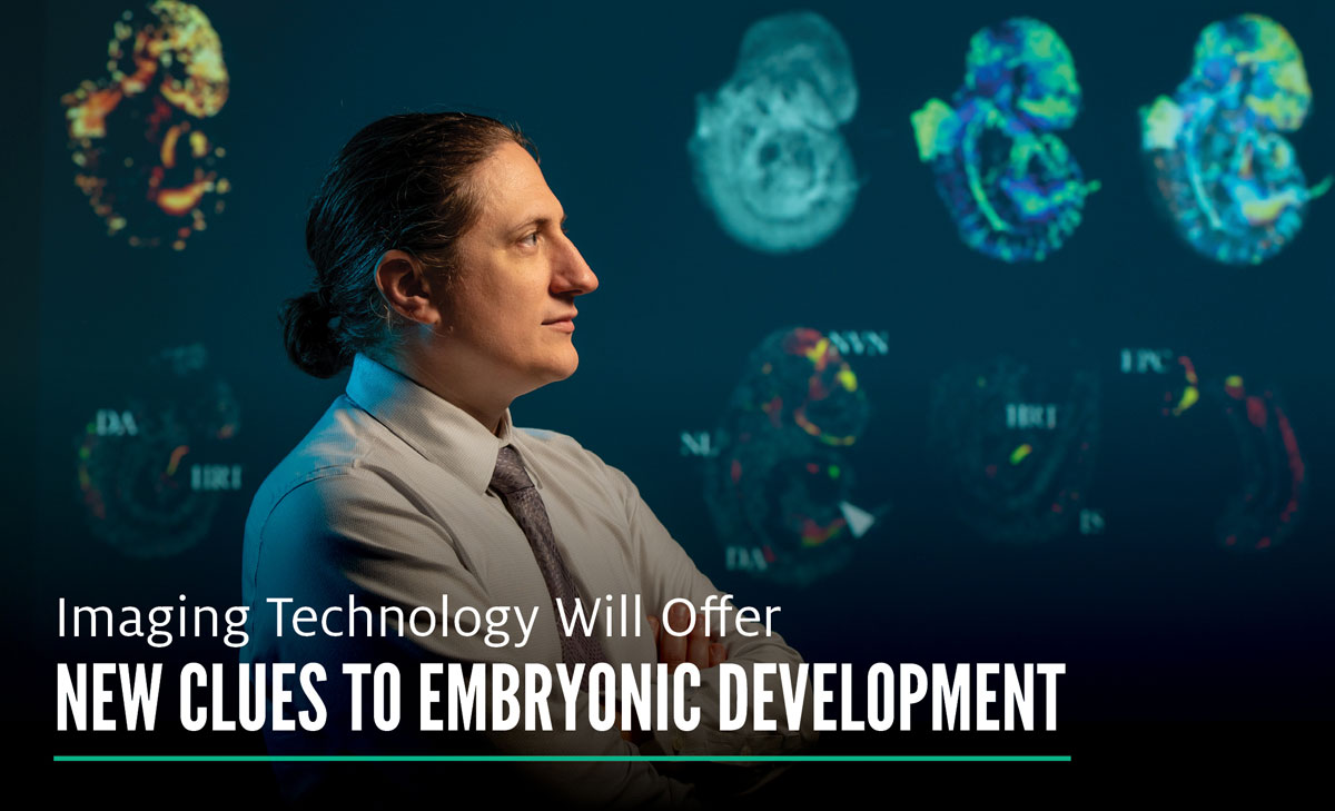 Imaging Technology Will Offer New Clues to Embryonic Development